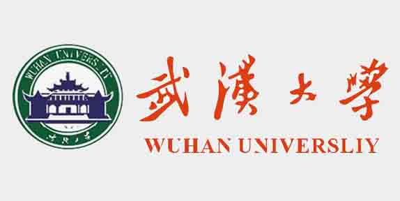 武漢大學(xué) 880